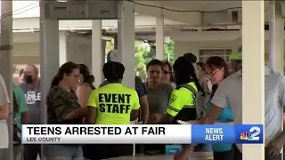 Two teens arrested after punching deputies at Lee County Fair
