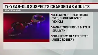 Two teens arrested in shooting of 15-year-old: ACSO
