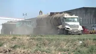 TX: Upwards of 18,000 cows die in explosion