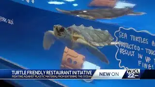 Tybee Beach Clean expands its program to fight stop plastic from entering the ocean