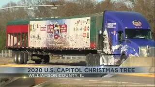 U.S. Capitol Christmas Tree passes through Williamson County
