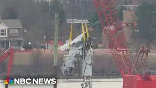 U.S. government takes responsibility for DCA crash