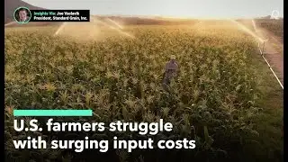 U.S. Soybean Acreage Surges Amid Rising Fertilizer Costs