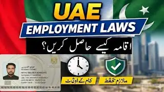UAE visa laws for Pakistanies 