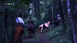 UB NEWS EDIÇÃO de SÁBADO e UB DOCS | 22/11/2025