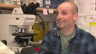 UC Davis study finds breakthrough in deadly cat virus with potential human impact