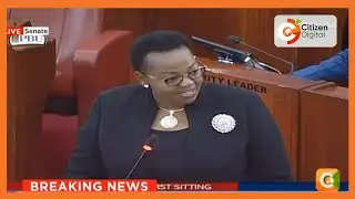 UDA Secretary General Veronica Maina makes maiden speech as nominated senator
