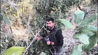 Udhampur En_counter Enters Day 2 as Massive Search Operation Continues