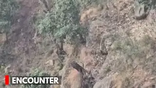 Udhampur: Encounter Continues In Basantgarh, 2 Terrorists Trapped