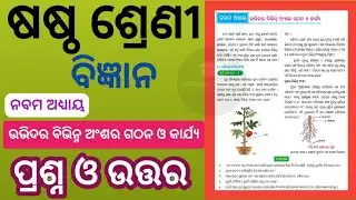 Udvidara Bibhina Ansara Gathana O Karjya Question Answer |Class 6 Science Chapter 9 Question Answer 