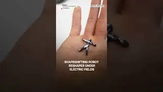 UK Scientists Develop Shapeshifting Robot "Gymnast" Powered by Electric Fields | N18G