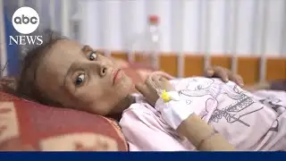 UN officials sound alarm as Gazans continue to starve