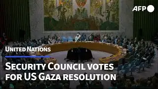 UN Security Council adopts US resolution on Gaza peace plan | AFP