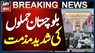 UN Security Council Condemns Balochistan Attack