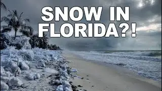 Unbelievable Cold Wave Hits Florida | Temperatures Drop to Historic Lows