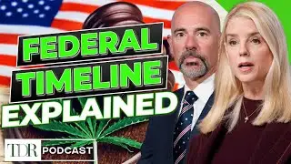 Understanding the Real Cannabis Rescheduling Timeline | TDR Cannabis in 5