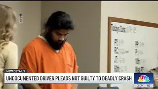 Undocumented driver pleads not guilty to fatal Ontario crash