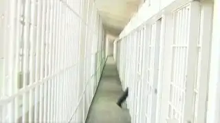 Unexpected help for felons