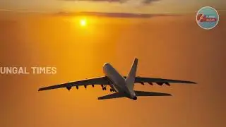 விமானங்களை ரத்து செய்த இண்டிகோ | #ungaltimes #news #flight #indigo