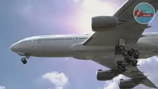 இண்டிகோ விமானங்களின் சேவை ரத்து | #ungaltimes #news #indigo #airplane