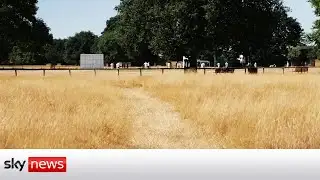 Unprecedented red heat warnings