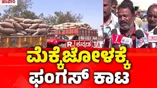Unpurchased Maize Farmers | ಮೆಕ್ಕೆಜೋಳ ಖರೀದಿ ಇಲ್ಲದೇ ಪರದಾಟ | @RepublicKannada