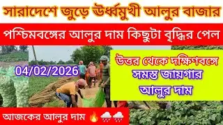 আজকের আলুর দাম ঊর্ধ্বমুখী/পশ্চিমবঙ্গ ও Up এর আলুর দাম বাড়লো/West Bengal potato market increased