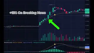 Up 15% on Breaking News AS A BEGINNER | Day 2