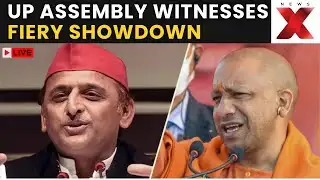 UP Assembly LIVE: UP Assembly Session LIVE Updates | Cough Syrup Row | BJP-SP Showdown