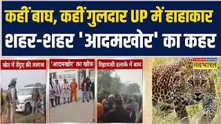 UP Leopard Attack | कहीं बाघ, कहीं गुलदार, UP में हाहाकार.. शहर-शहर 