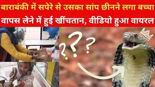 UP News: Barabanki में सपेरे से उसका सांप छीनने लगा बच्चा,  वापस लेने में हुई खींचतान, Video Viral