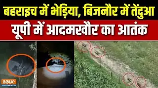 UP Wolf Attack News : 7 रात में 4 शिकार, आदमखोर अब हुआ और भी खूंखार | UP News | Bhediya Video