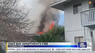 UPDATE: 2 dogs die in Daphne apartment complex fire