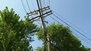 UPDATE: Fallen tree caused power outage; over 1,000 customers restored so far