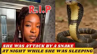 UPDATE: RIP Nigerian fast rising singer bitten to death while she was sleeping in her room at night