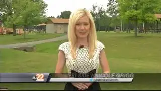 UPDATE: Vandalia Police Identify "West Side Vandalizers"