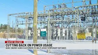 Upstate electric companies asks customers to limit power usage