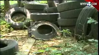 Upstate Neighborhood Deals With Mosquito Problem