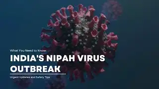 Urgent Alert: India Battles Nipah Virus Outbreak