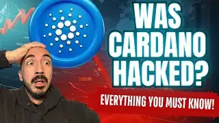 URGENT: Cardano Network CRASH? (PRICE IMPACT WARNING)