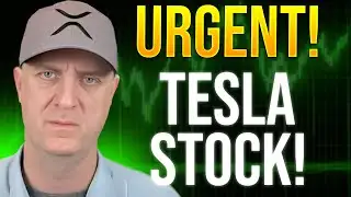 Urgent ‼️ Tesla BYD Warren Buffett PRICE PREDICTION