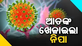 Urgent Update: Nipah Virus Spreading? | ପୁଣି ଫେରିଲା ମାରାତ୍ମକ ନିପା ଭାଇରସ!
