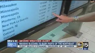 US airlines to halt Northeast flights