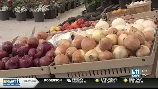 USDA allocates specialty crop funding for Idaho agriculture projects