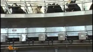 USDA Releases 2011 Dairy Statistics