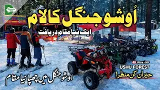 Ushu Forest Kalam ❄ Exploring a New Unseen Spot in Winter | Swat Snowfall Updates