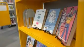 Utah lawmakers look to make additional steps in vetting 