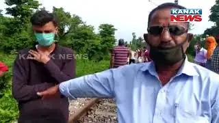 Uttarakhand: Elephant Dies After Being Hit By Train In Dehradun