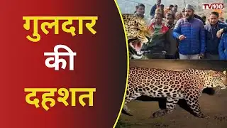 Uttarkashi Leopard News: उत्तरकाशी में गुलदार का आतंक! दहशत में लोग #tv100