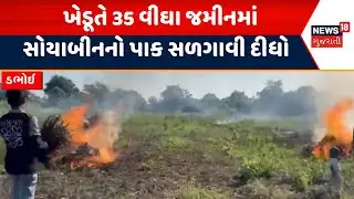 Vadodara Farmer Fire News | ખેડૂતે 35 વીઘા જમીનમાં સોયાબીનનો પાક સળગાવી દીધો | Dabhoi | Farm